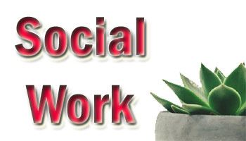Social Work Case Management Software