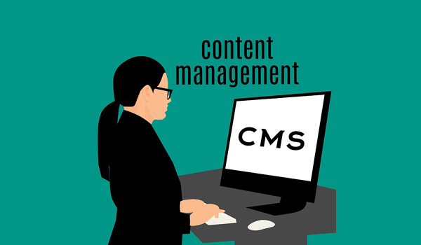 Content Management Software (CMS)