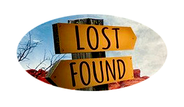 Lost and Found Software