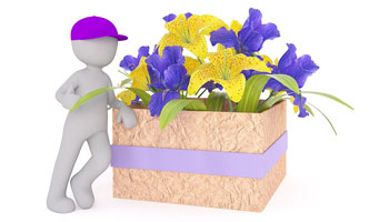 Florist Software