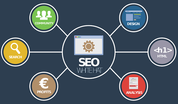 SEO Software